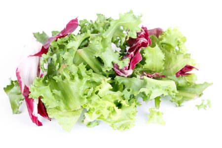 Salad leafs isolated on whiteの写真素材