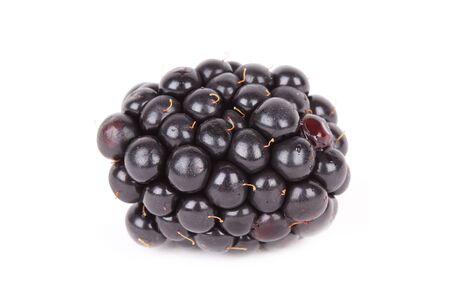 Blackberry isolated on whiteの写真素材
