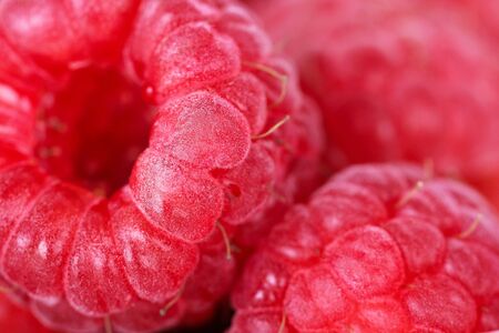 Raspberry , macro shotの写真素材
