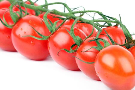 Tomato cherry branch, closeup on whiteの写真素材