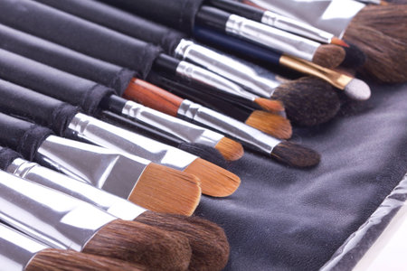 Professional make-up brushes in leather case 
