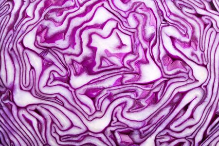Red cabbage background, macro shotの写真素材