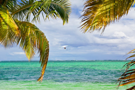 Hang glider in the sky above caribbean seaの写真素材