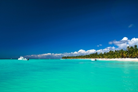 Beautiful caribbean beach on Saona islandの写真素材