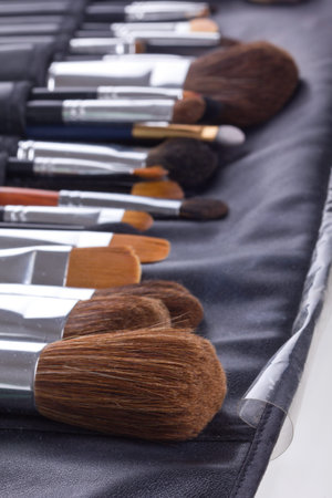 Set of professional make-up brushes in black leather case