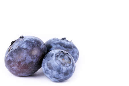 Bilberry isolated on white backgroundの写真素材