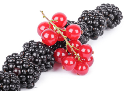 Blackberry and red currants isolated on white の写真素材