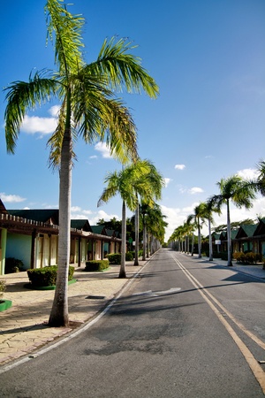 Yellow dividing lines on road on caribbean street の写真素材