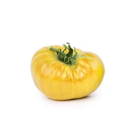 Yellow tomato closeup on white backgroundの写真素材