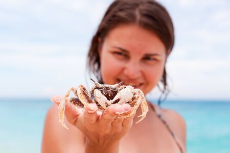 Crab in hands on beachの写真素材