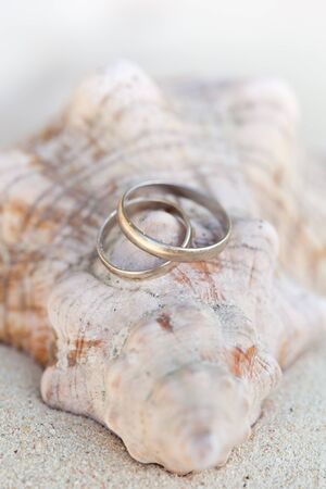 Celebration Valentine s day on beach, rings on shellの写真素材