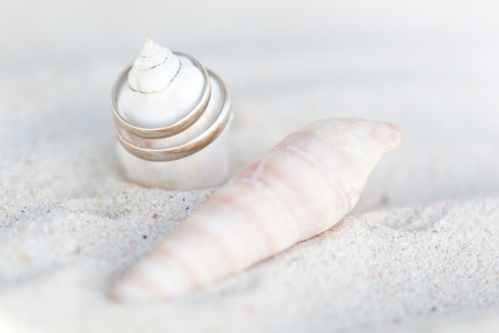 Celebration Valentine's day on beach, rings on shellの写真素材