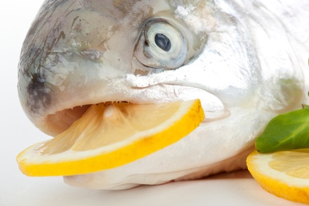 Salmon closeup on white backgroundの写真素材