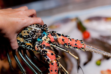 Fresh seafood in asian market, lobsters prawns and fish.の写真素材