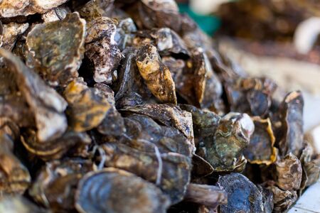 Oysters and scallops on asian market の写真素材