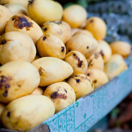 Mango fruit on asian marketの写真素材