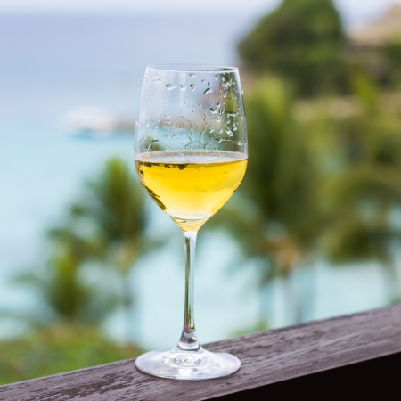 Glass of wine on balcony rail, Tropical viewの写真素材