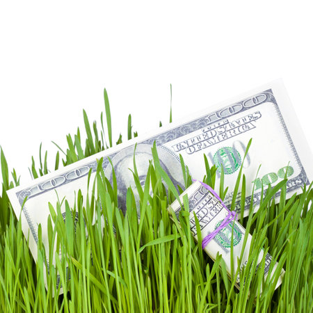 100 dollar bills growing in the green grass, finance conceptの写真素材