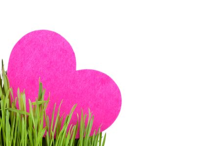 Love card decorated with heart on green grass isolated on white, focus on grassの写真素材