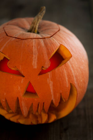 Pumpkin isolated on white backgroundの写真素材