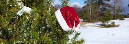 Santa Claus losted his hat on fir tree's branch, Christmas in winter nature, outsideの写真素材
