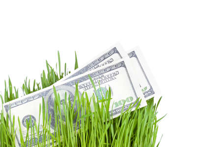 100 dollar bills growing in the green grass, finance conceptの写真素材