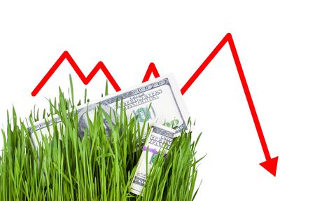 100 dollar bills growing in the green grass, Arrow falling downの写真素材