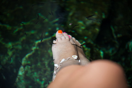 Fish spa therapy with female legs in mexican cenotesの写真素材