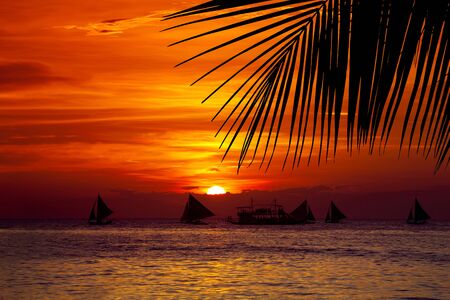 Sunset on tropical beach with sailing boats through palm tree leafsの写真素材