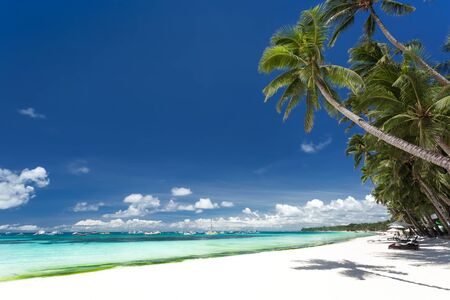 Tropical beach with coconut palm tree, white sand and turquoise sea water, Philippines, Boracayの写真素材