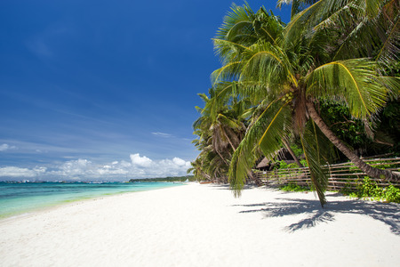 Tropical beach with coconut palm tree, white sand and turquoise sea water, Philippines, Boracayの写真素材