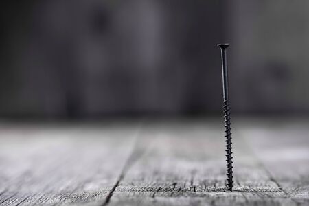 Screw screwed into wooden plank, closeupの写真素材