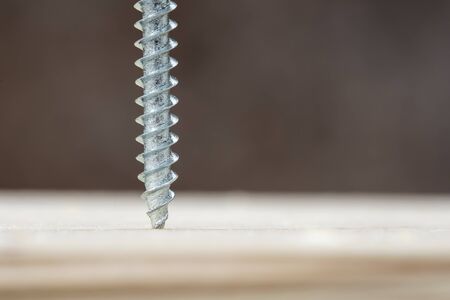 Screw screwed into wooden plank, closeupの写真素材