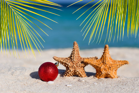 Red fir tree decoration ball and two starfishes on sandy beach, Tropical christmas and New Year celebrationの写真素材