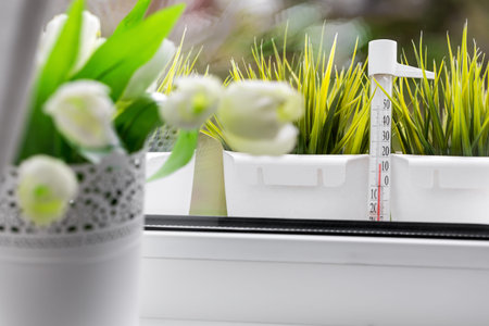 Bouquet of tulips in white vase on windowsill 