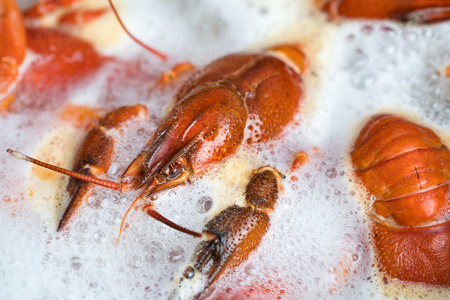 Boiling crayfish at saucepan, closeupの写真素材