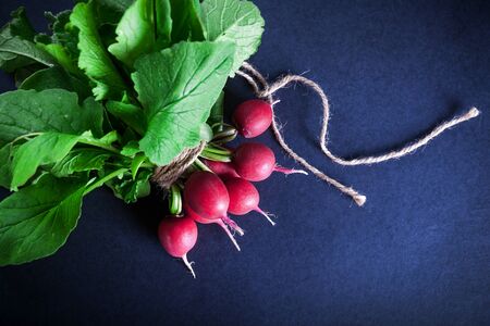 Bunch of ripe red radish on black background, selective focus and shallow depthの写真素材