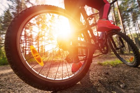 Woman riding a mountain bicycle along path at the forest. Closeup on pedal and foot. Healthy lifestyle and sport conceptの写真素材