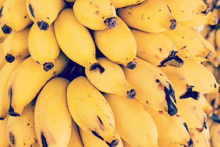 Ripe bananas bunches hanging for sale at supermarket, nobody. Closeupの写真素材