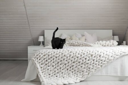 Cozy white scandinavian bedroom interior. Beautiful merino woolen plaid decorated bed and floor, black cat enjoying warm soft knit blanket.の写真素材