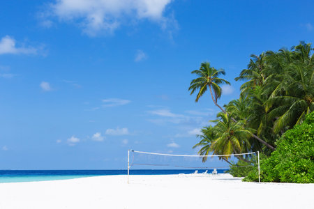 Tropical pristine beach with coconut palms and turquoise water, Maldives travel destination card.の写真素材