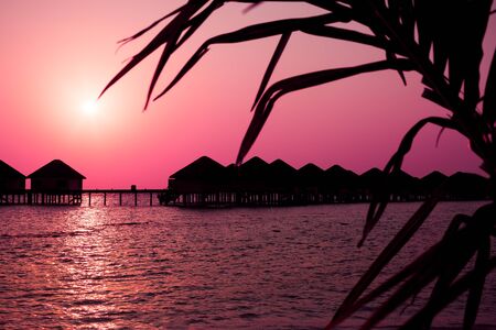 Sunset scene in pink colors at Maldives beach, luxury water lodgesの写真素材