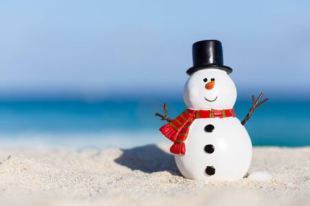 Snowman toy at white sandy beach on Caribbean sea background
の写真素材
