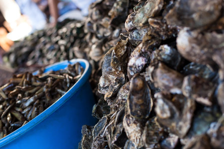 Fresh seafood in asian market