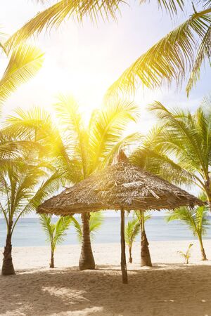 Vacation on tropical beach. Beautiful seashore view with coconut palm treesの写真素材