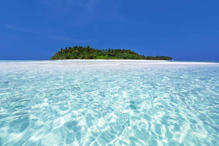 Wild Maldives island with bounty beach and azure crystal water, untouched maldivian nature for travel destinations の写真素材