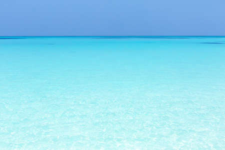 Tropical beach scene of azure crystal sea with soft waves, wild untouched seashore with copy space.の写真素材