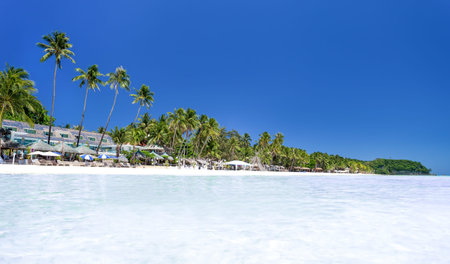 Tropical beach with coconut palm trees and white sand, seashore with nobody
