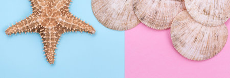 Starfish and seashell on pastel colored paper texture, flat lay