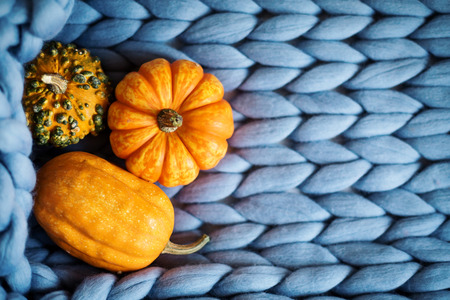 Autumn season and Halloween style concept of cozy home, orange pumpkins on merino plaid, top view, copyspaceの写真素材